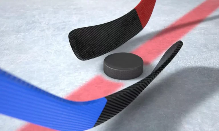 How Much Does A Hockey Puck Weigh: Guide For Hockey Lovers